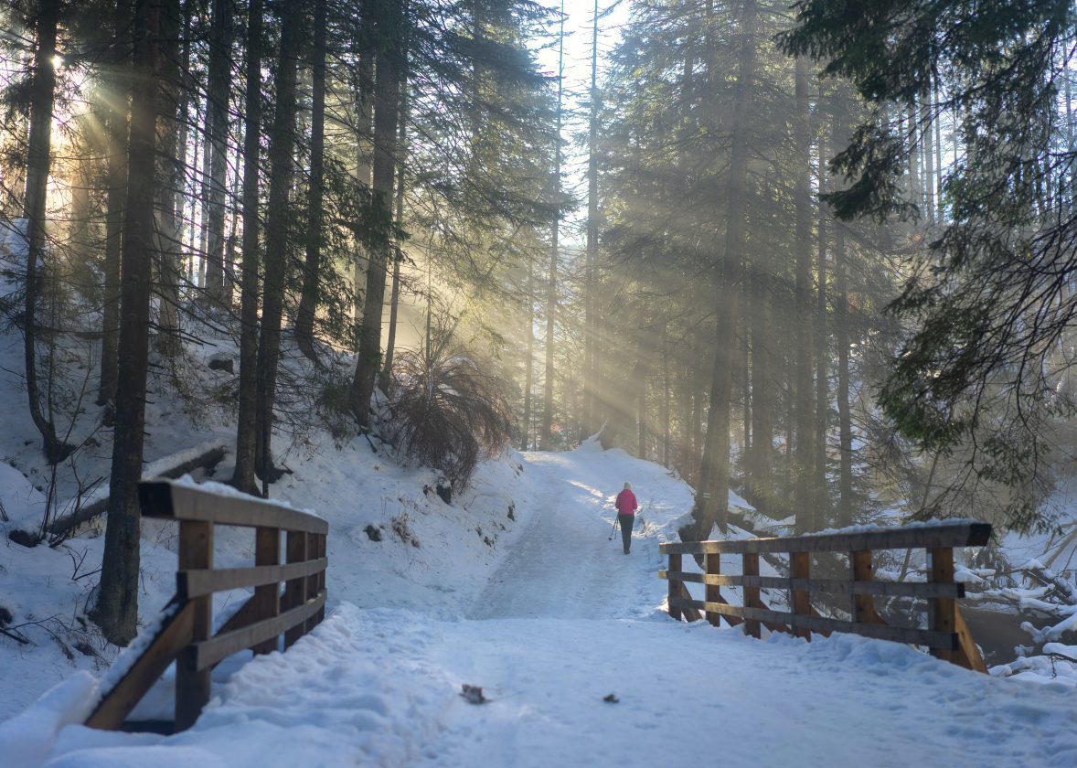 Procesul învățării
